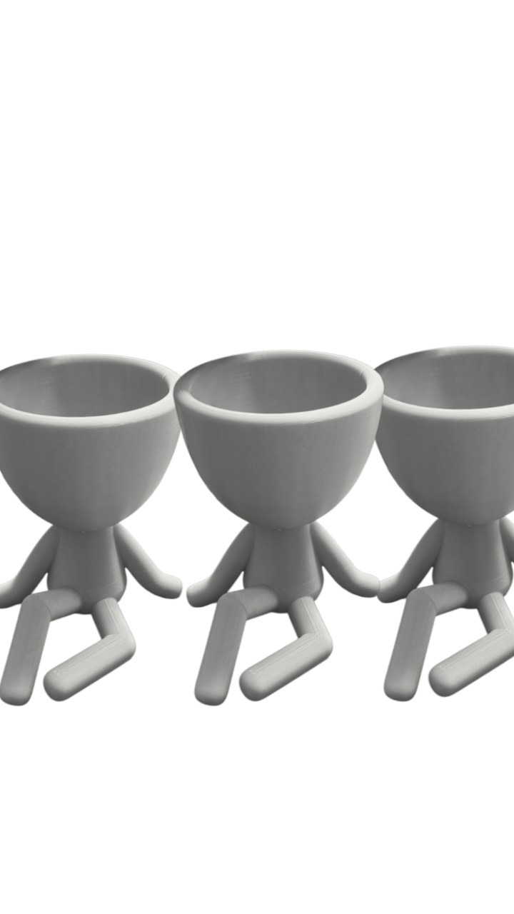 Kit 2 Vaso Robert Sentado